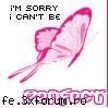 Fluturi - butterfly - Stuff