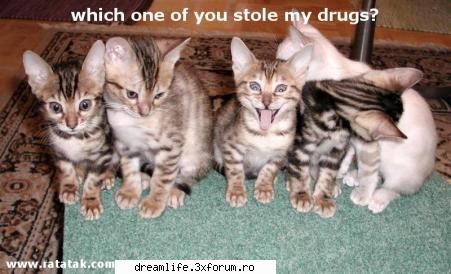 Funny stuff - Ornela - Stuff
